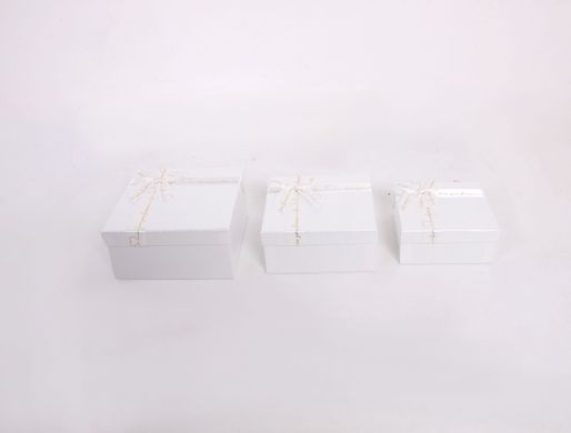 Gift Box Set 41030001, 3pcs